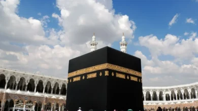 حصاد تسجيل حج 1447ه