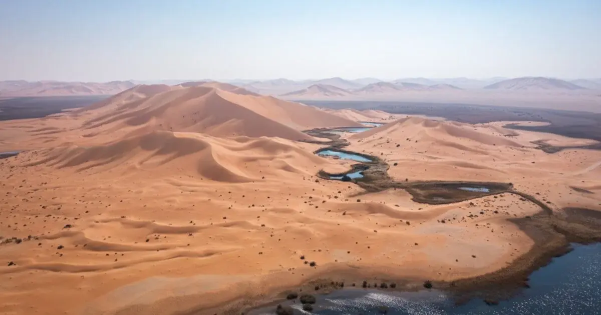 حقائق مذهلة عن السعودية