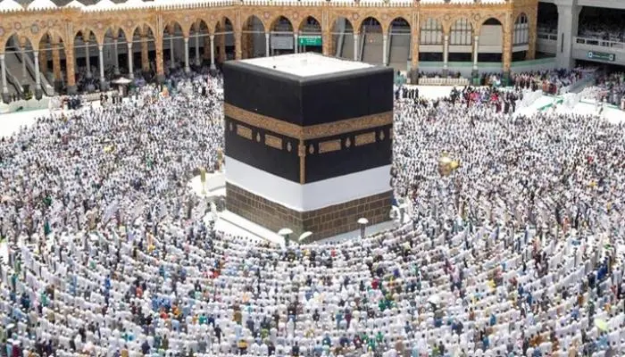 حصاد تسجيل حج 1447هـ