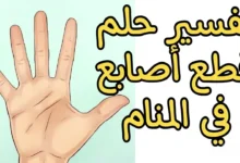 تفسير حلم قطع الإصبع في المنام
