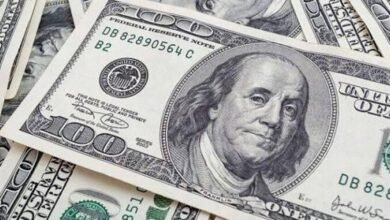 سعر الدولار اليوم في مصر